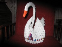 /album/galleria-foto-homepage/cigno-4-tiziana-jpg1/